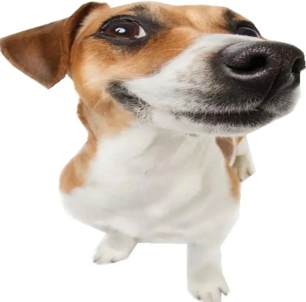  Facial and Neck Massage Kit, Double Chin Reducer Vibration Massager for Skin Care